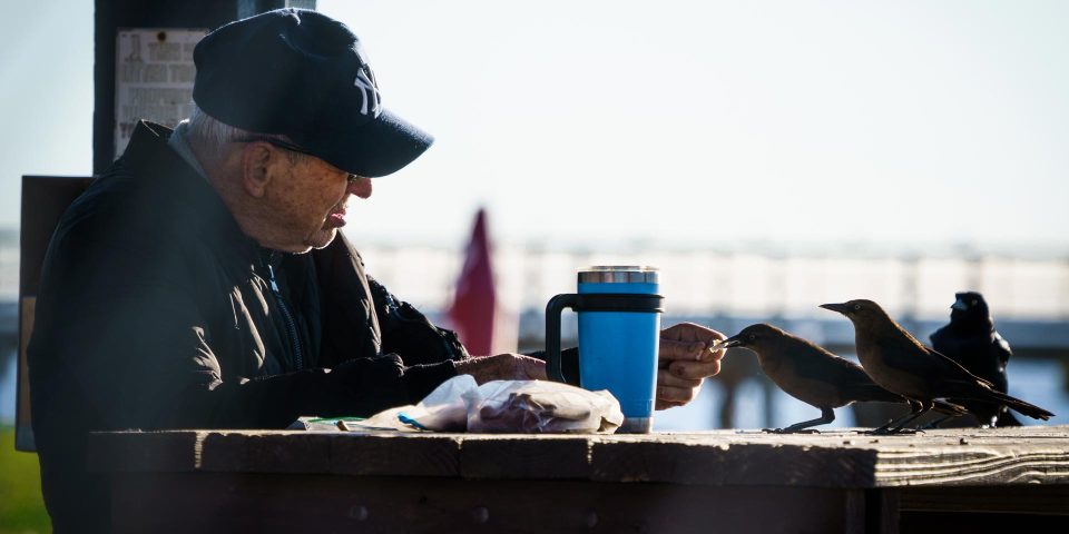 Old man sitting at a picnic table near the coast feeding birds