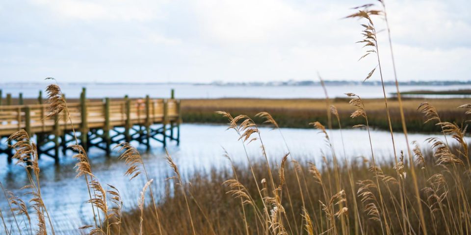 Coastal Carolina waterway with tall reeds and a pier
